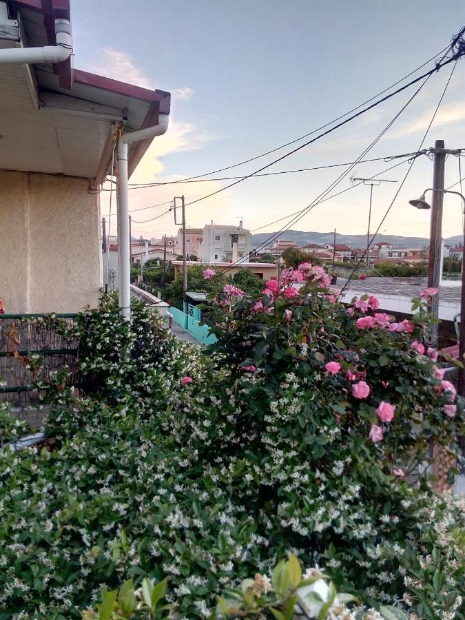 Cozy House 3 Apartment Vrachati Ngoại thất bức ảnh